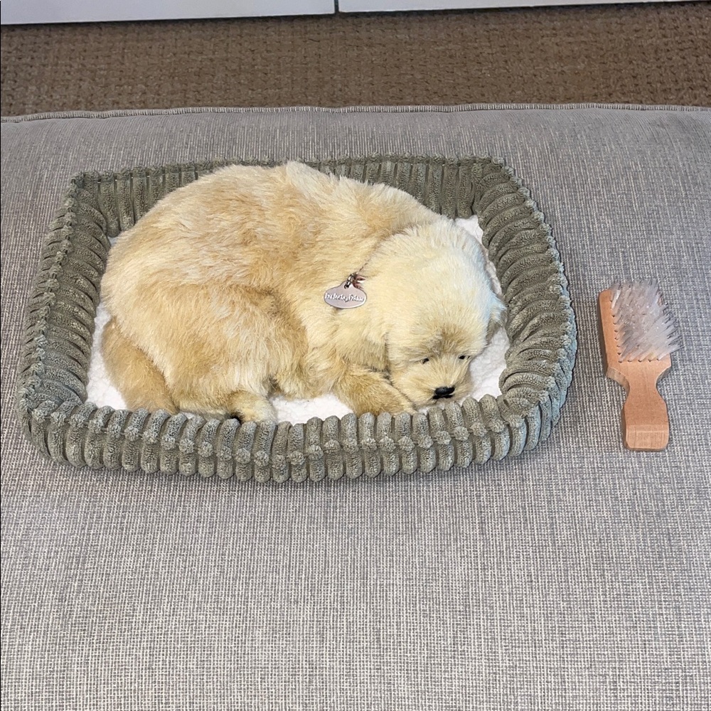 Perfect Petzzz Golden Retriever